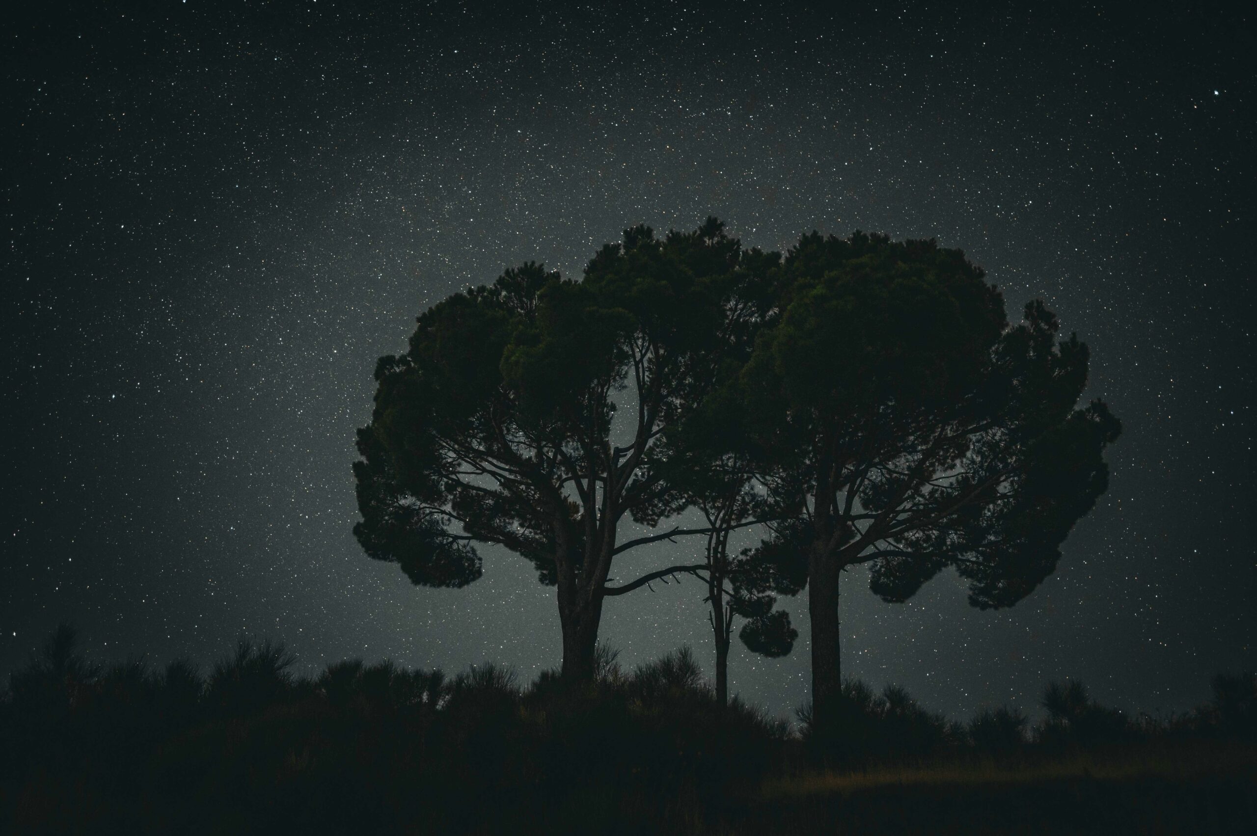 Pourquoi nos pensées deviennent-elles plus fortes la nuit ?